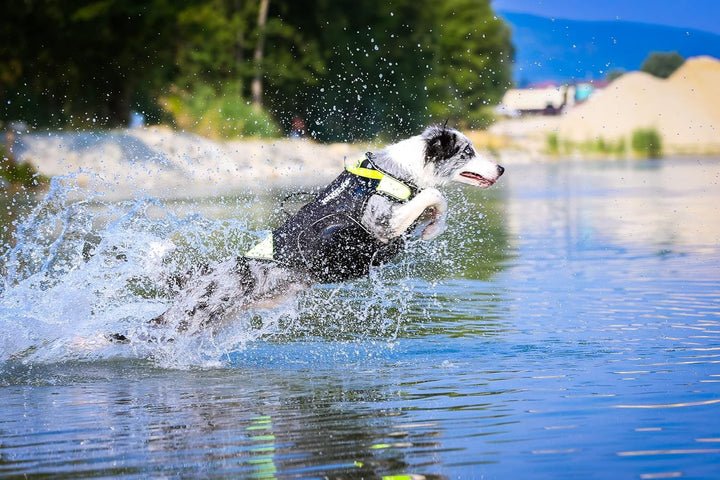 Julius-K9, IDC Multifunktionale Hundeweste 3in1, Grösse: L, Schwarz und Neon L Schwarz und UV Orange
