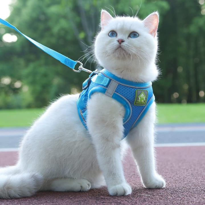 FEimaX Hundegeschirr mit Leine für Kleine Mittele Hunde Katzen Weich Mesh Welpengeschirr Atmungsakti