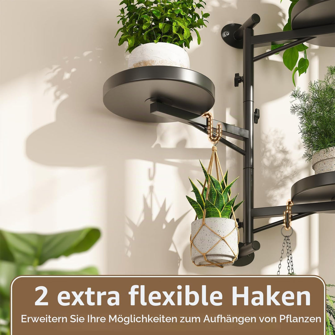LASZOLA Rotierende Wandmontage Fenster Pflanzen Regale Indoor mit 2 Hängehaken, 3 Ebene schwebende M