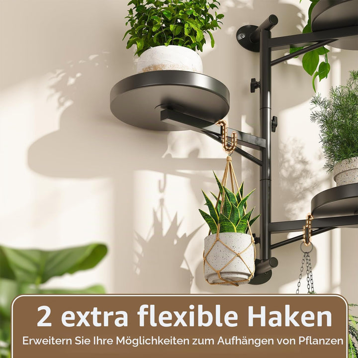 LASZOLA Rotierende Wandmontage Fenster Pflanzen Regale Indoor mit 2 Hängehaken, 3 Ebene schwebende M