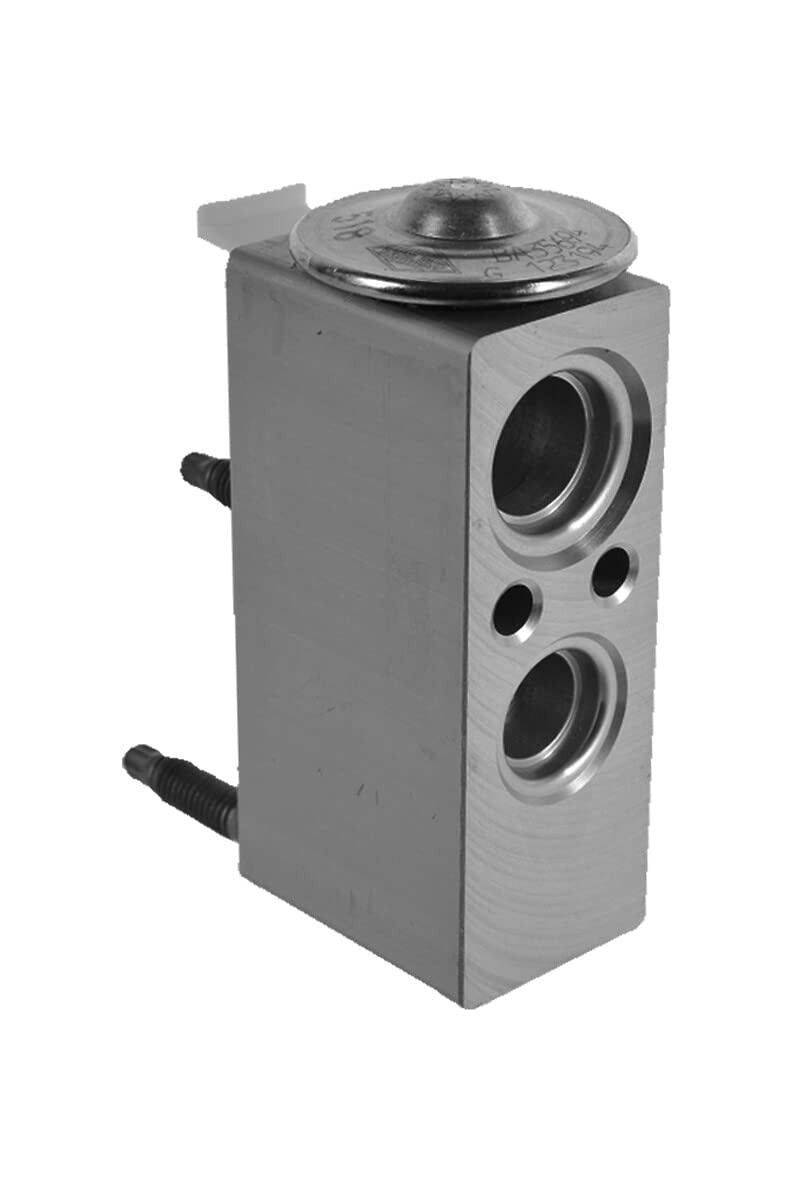Valeo Expansionsventil Klimaanlage 515055