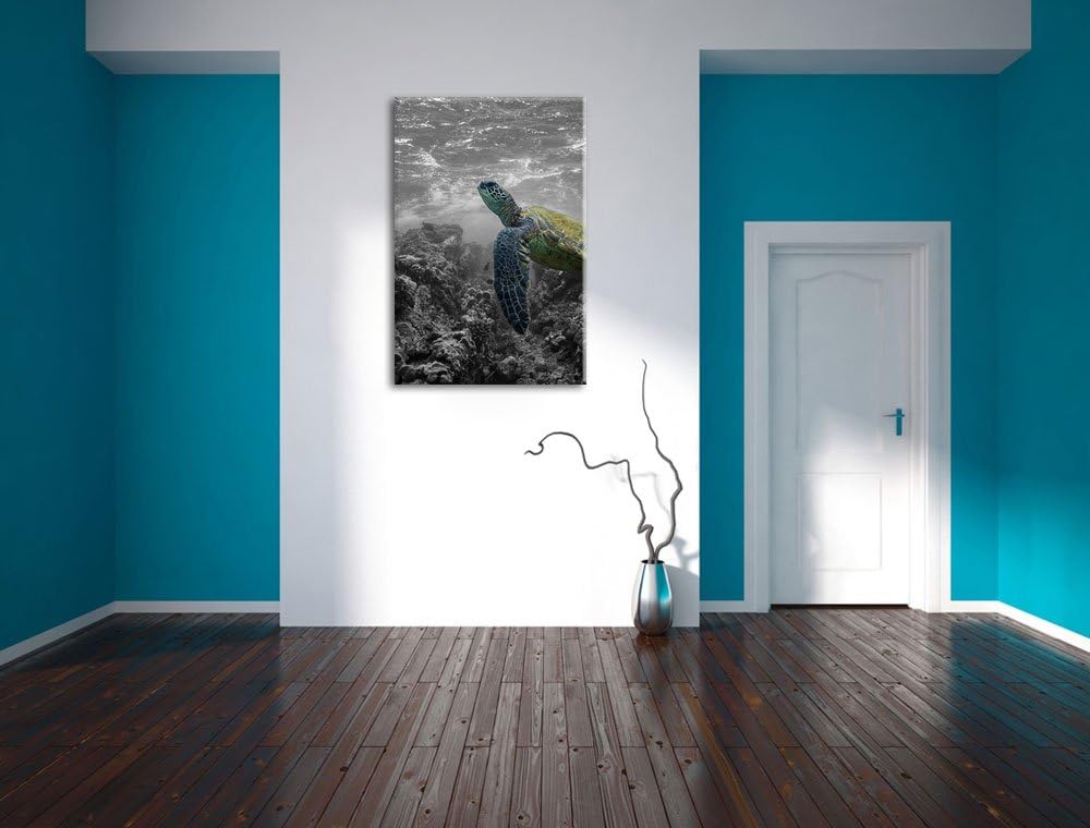 Schildkröte und Korallen im Ozean schwarz/weiss Format: 100x70 auf Leinwand, XXL riesige Bilder fert
