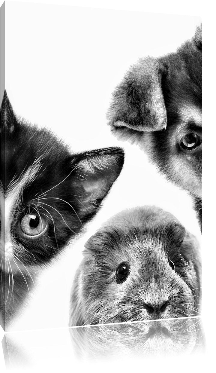 Pixxprint Trio Hund Katze Meerschwein / 100x70cm Leinwandbild bespannt auf Holzrahmen/Wandbild Kunst