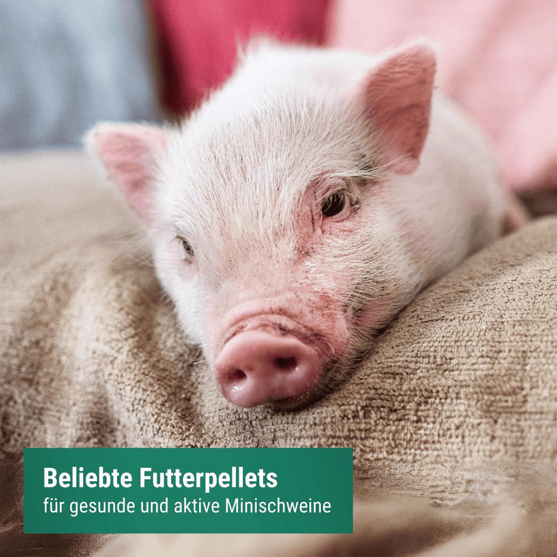 Agrarzone Minischweinfutter Pellets 25 kg - Weizen Schweinefutter 25KG für Minischweine und Zwergsch