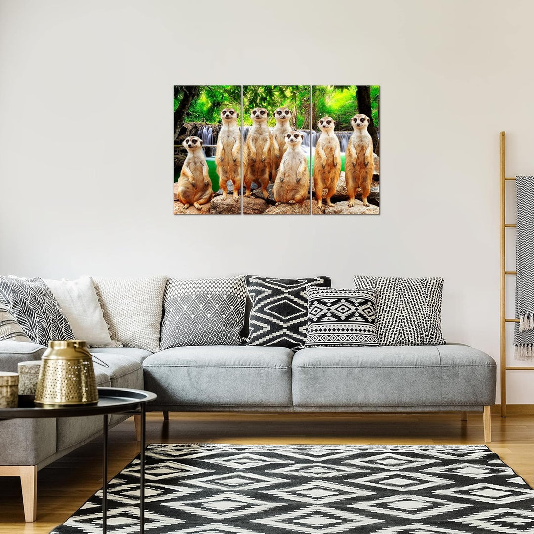 Runa Art Wandbilder Afrika Erdmännchen Bild XXL Wohnzimmer Schlafzimmer Bunt Natur Wasserfall 120 x