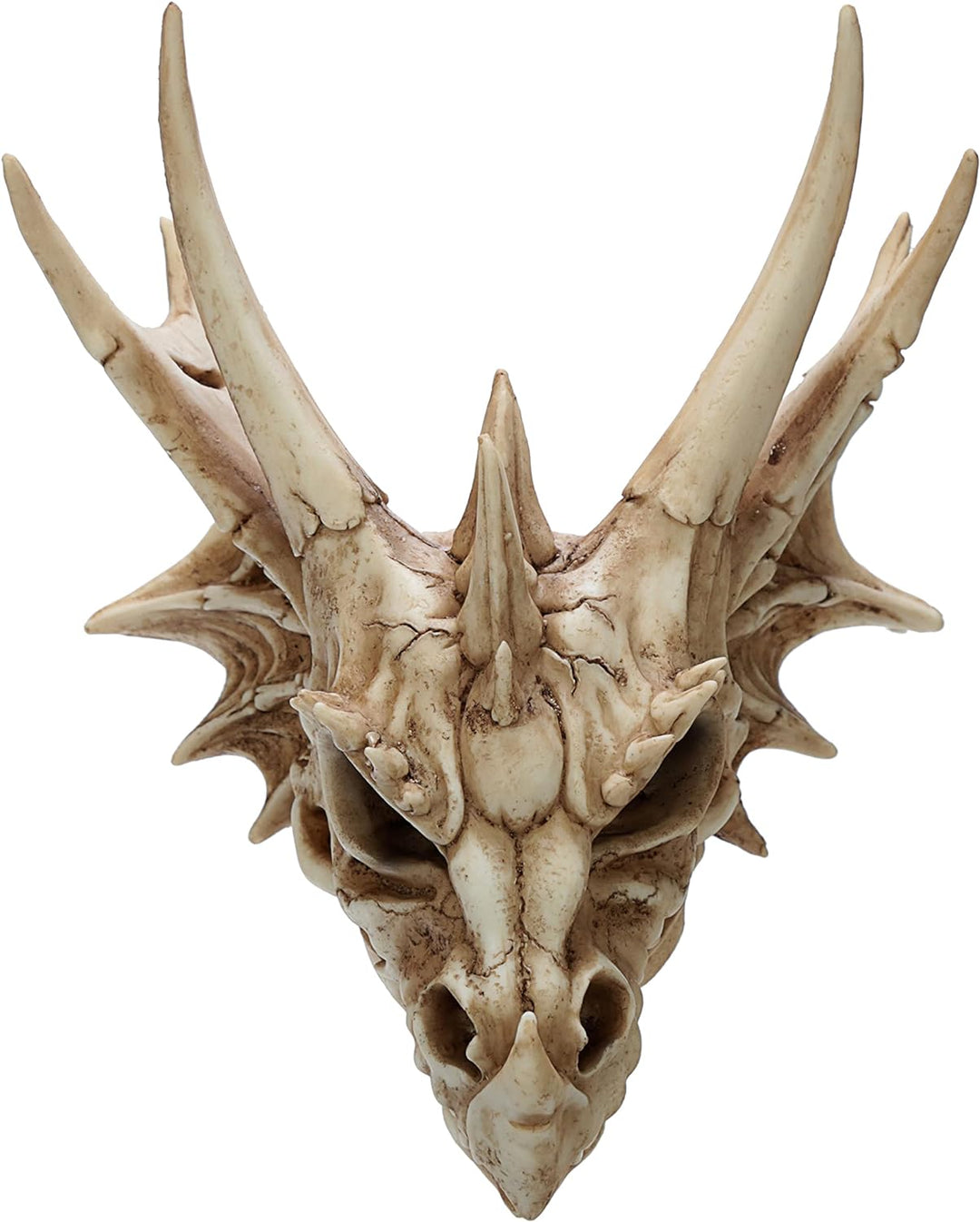 Puckator Dekofigur Drachen Totenkopf, Kunstharz, gemischt, Height 16.5cm Width 22.5cm Depth 25cm