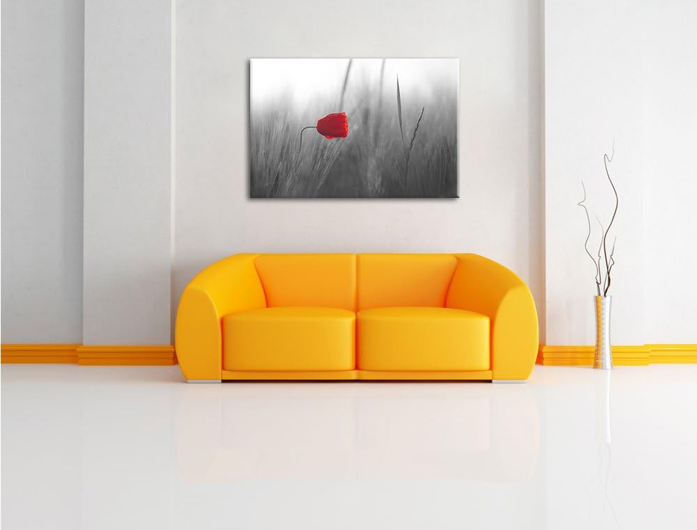 Pixxprint Einzelne rote Rose im Sonnenlicht als Leinwandbild/Grösse: 100x70 cm/Wandbild/Kunstdruck/f