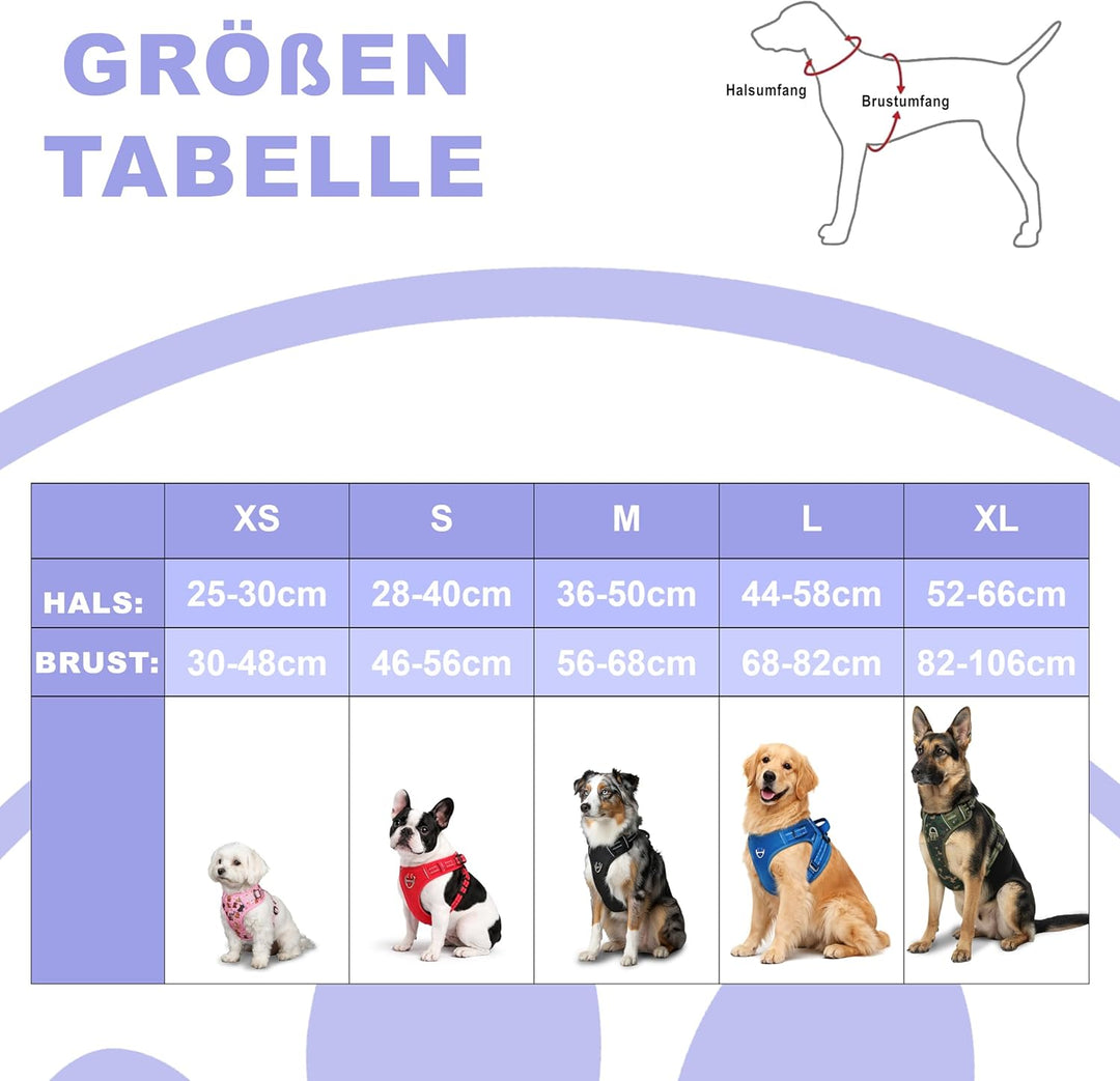 Reichstadt Pets Hundegeschirr Mini Hunde 25RSP083 Black XS | Verstellbares No-Pull Geschirr mit Grif