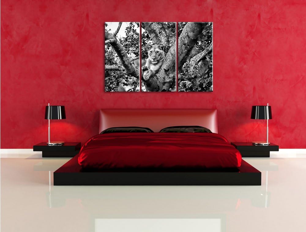Pixxprint schöne Löwin auf Baum als Leinwandbild/Grösse: 3 Teilig (120x80) cm/Wandbild/Kunstdruck/fe