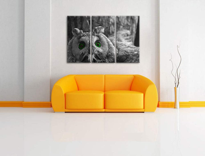 Niedliche Eule mit Grünen Augen schwarz/weiss 3-Teiler Leinwandbild 120x80 Bild auf Leinwand, XXL ri