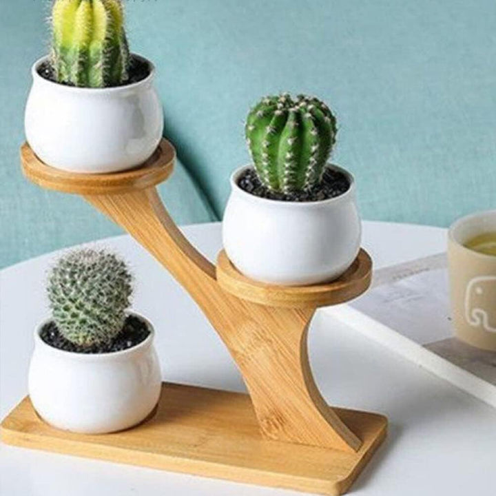 Angoily Blumentopf Cupcake Dessert Ständer Pflanzentreppe Holz Pflanzenständer Blumentreppe Blumenst