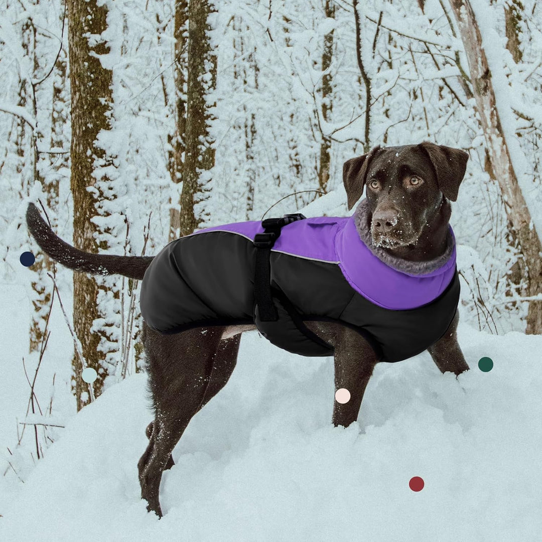 IECOii Hundemantel Winter,Warme Fleece Rollkragen Hundejacke,Wasserdicht Winterjacken Wintermäntel f