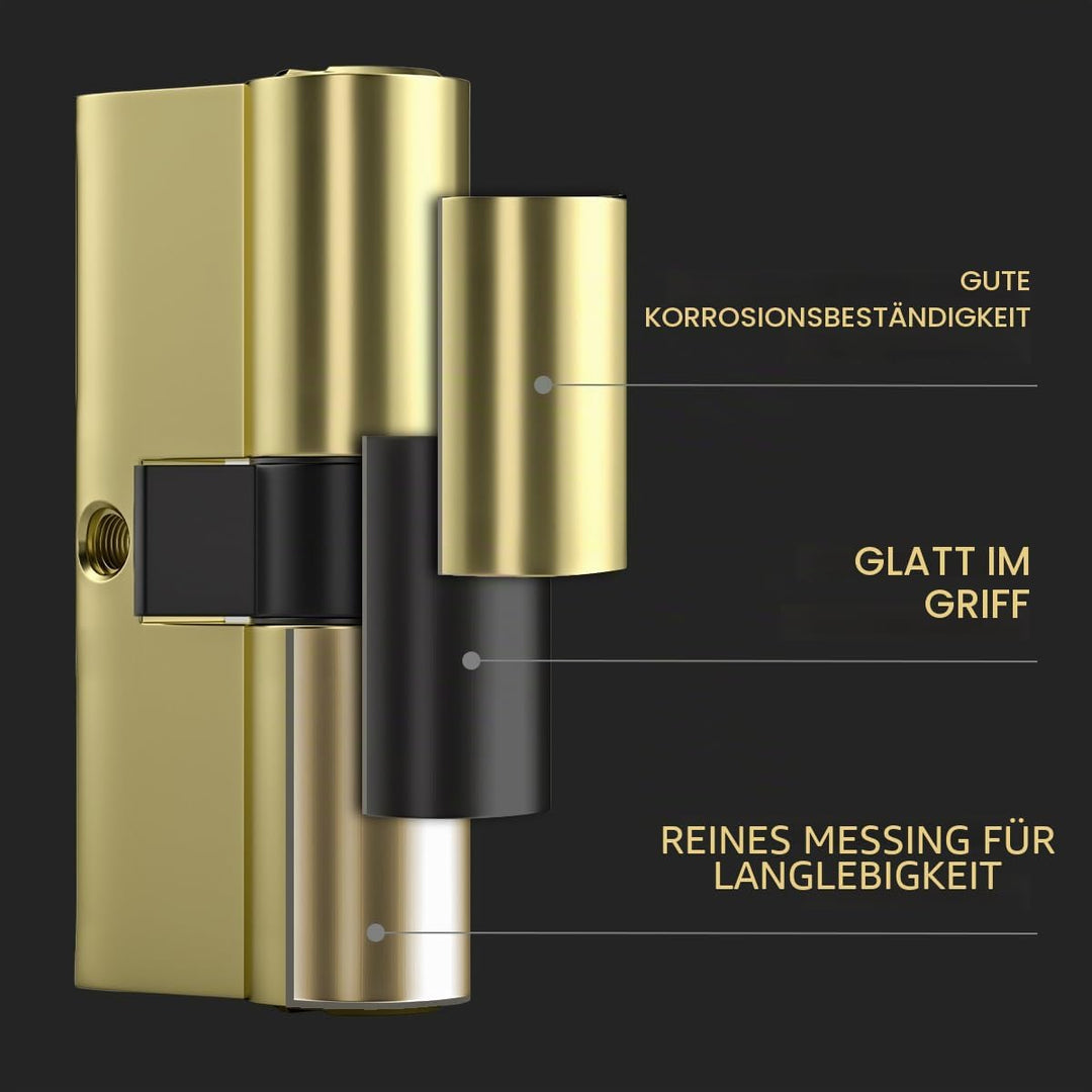 Bwintech 2 Stück 30/30mm Euro Messingzylinder, 60mm Schlüssel/Schlüsselzylinderschloss mit 10 horizo
