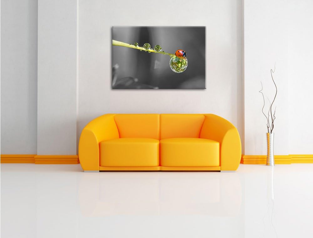 Pixxprint Marienkäfer als Leinwandbild/Grösse: 100x70 / Wandbild/Kunstdruck/fertig bespannt, 100x70