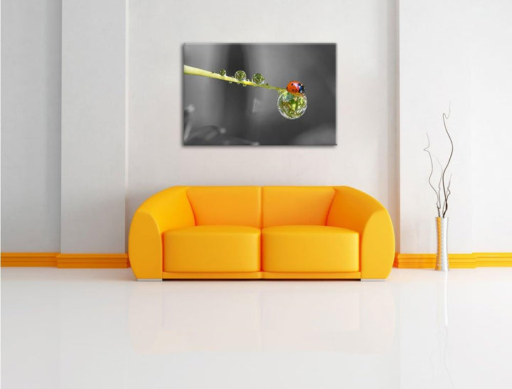 Pixxprint Marienkäfer als Leinwandbild/Grösse: 100x70 / Wandbild/Kunstdruck/fertig bespannt, 100x70