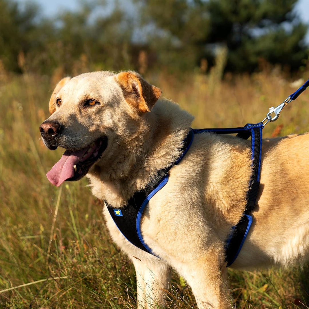 Ferplast Hundegeschirr grosse Hunde Geschirr Hunde mit Polsterung ERGOCOMFORT L, Halsumfang: 50-60 c