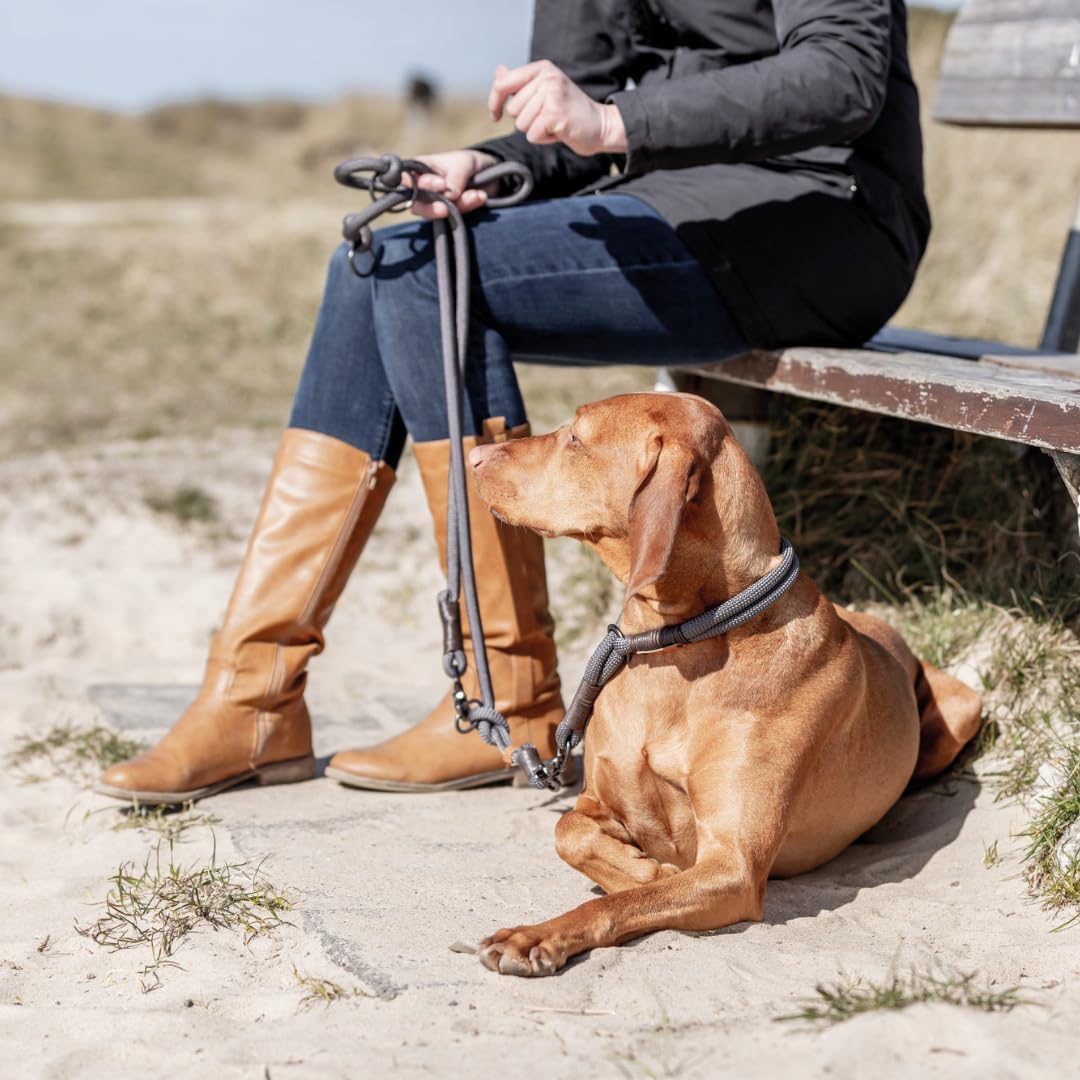 TRIXIE Hundeleine BE NORDIC V-Leine L–XL, 2,00 m ø 13 mm in dunkelgrau/braun - verstellbare Hundelei