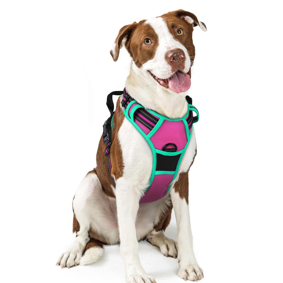 rabbitgoo Hundegeschirr Mittelgrosse Hunde, Anti Zug Geschirr mit Kontrolle, No Pull Verstellbar Hun