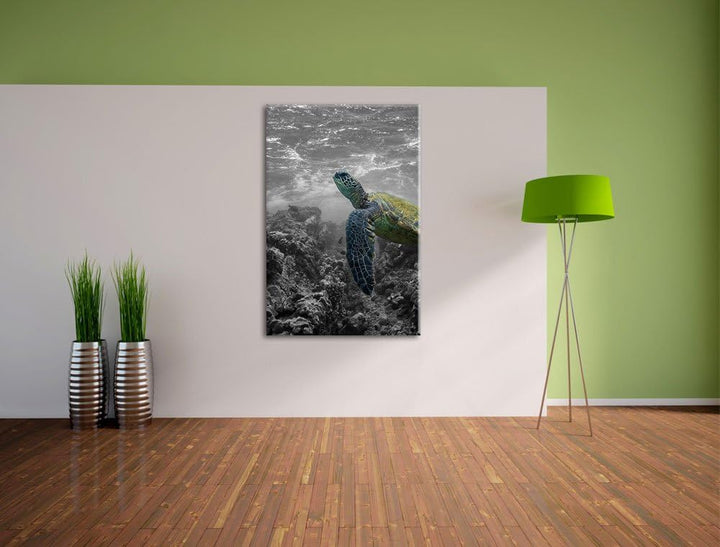 Schildkröte und Korallen im Ozean schwarz/weiss Format: 100x70 auf Leinwand, XXL riesige Bilder fert