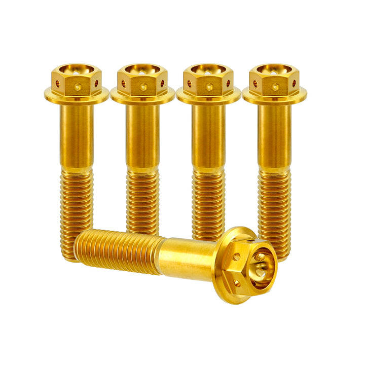 RISON Titanium Bolzen M8x1.25x25mm Titan Flansch Schrauben TC4 Titan Schrauben Sechskantschraube gol