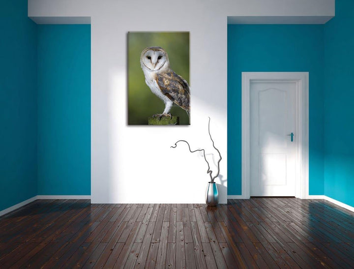 Pixxprint Eule, Format: 100x70 auf Leinwand, XXL riesige Bilder fertig gerahmt mit Keilrahmen, Kunst