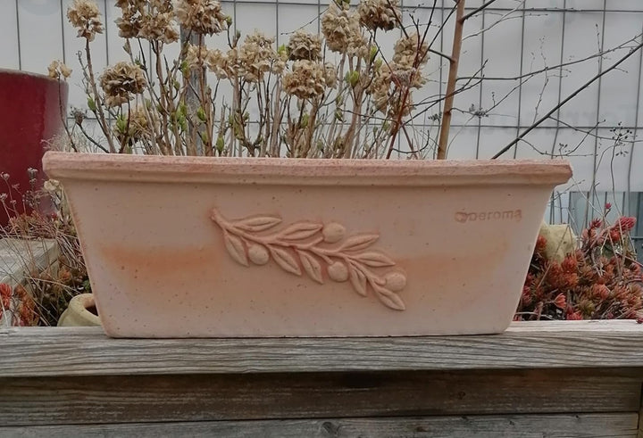 NEU !! Blumenkasten 40 cm mit Olivendekor echt Terracotta Terrakotta Garten Deko Pflanztopf Balkonka
