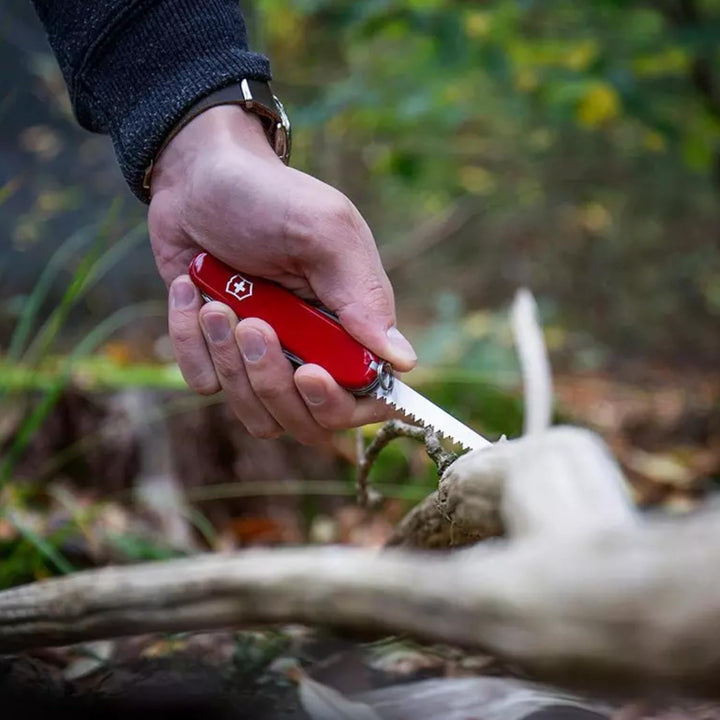 Victorinox Taschenmesser Swiss Champ (33 Funktionen: Metallfeile, Mini-Schraubendreher) rot Rot Tran