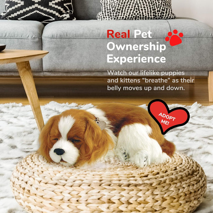 Perfect Petzzz 96309 Plüschhund Cavalier King Charles mit Körbchen, Grösse 25 cm, Kuscheltier atmet