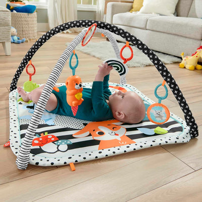 Fisher-Price Tierfreunde Kontrast-Spieldecke | Spielbogen Baby Spielzeug mit Musik und Licht | Krabb