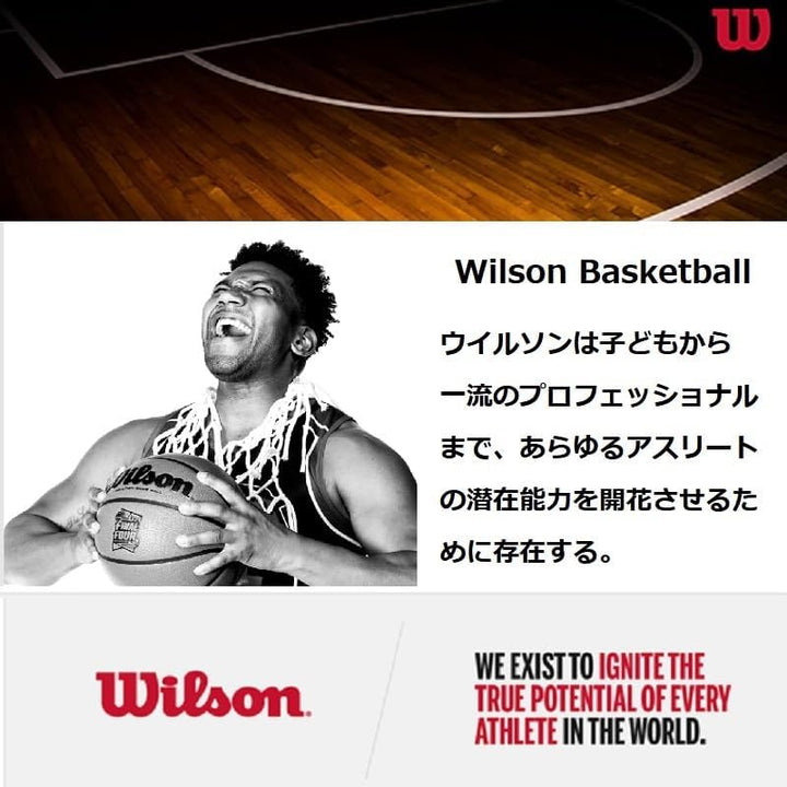 Wilson NBA Authentic Series Basketballs Size 7 - 29.5" Indoor Basketball, Size 7 - 29.5" Indoor Bask