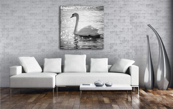 deyoli eleganter Schwan Format: 70x70 Effekt: Schwarz&Weiss als Leinwandbild, Motiv fertig gerahmt a