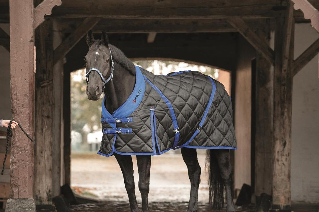 CATAGO Stalldecke 300 g Füllung schwarz mit blau 420D Gehfalte Kreuzgurte 155 cm schwarz / blau, 155
