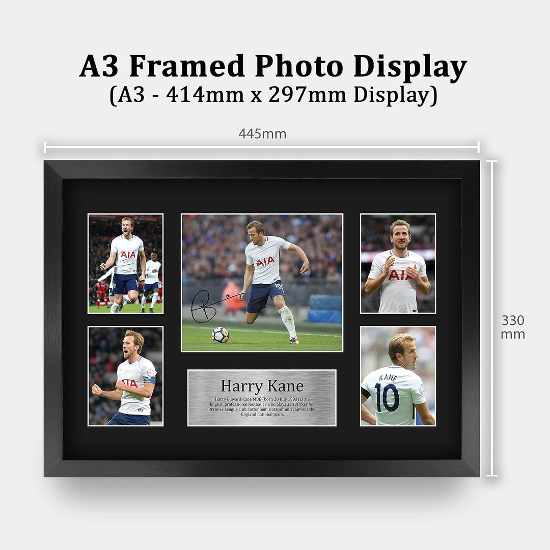 HWC Trading Harry Kane A3 Gerahmte Signiert Gedruckt Autogramme Bild Druck-Fotoanzeige Geschenk Für
