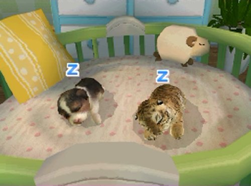Petz - Tierbaby-Schule