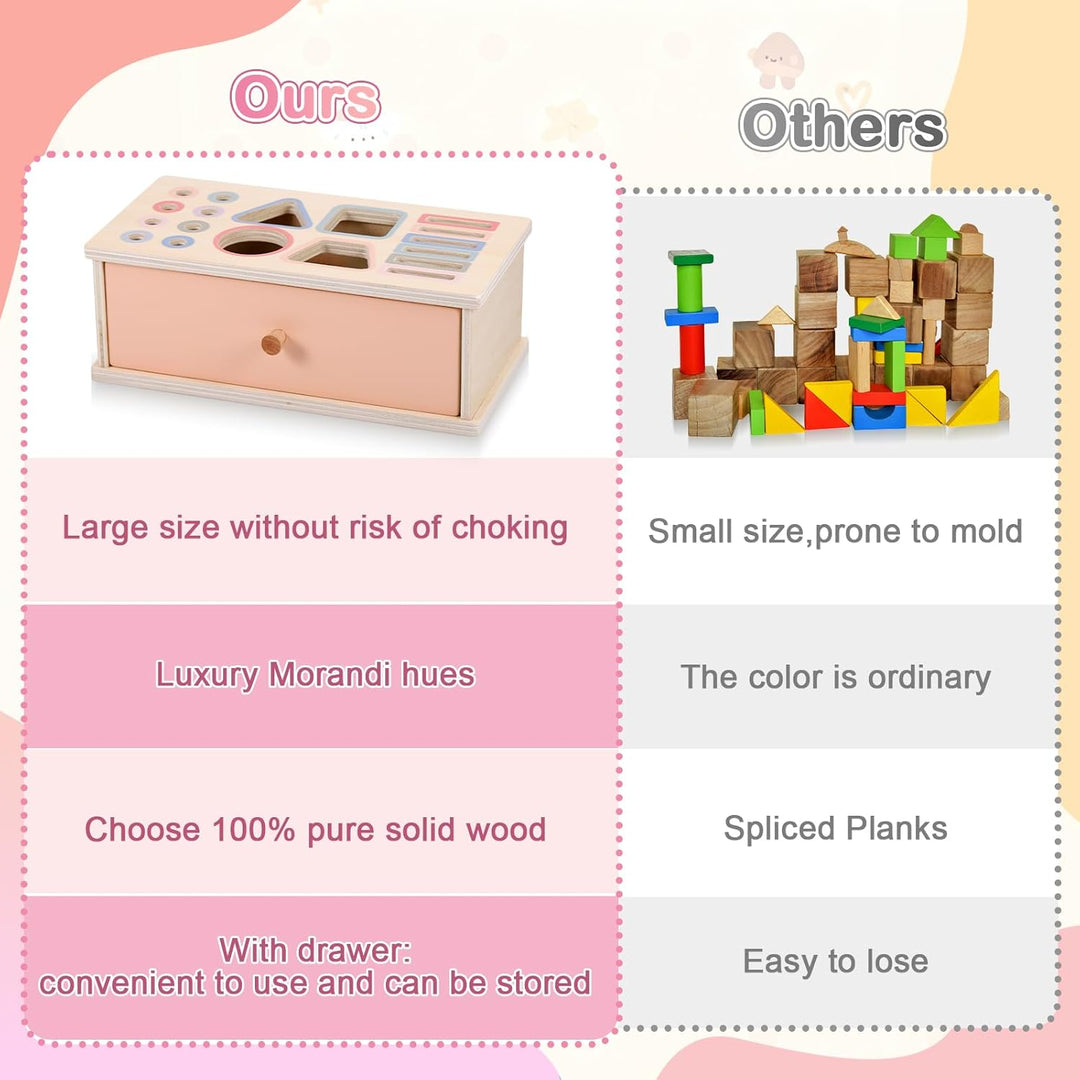 Montessori Spielzeug, 3-in-1 Holz Münzbox & Ballbox Kinder Jungen Mädchen, Objektpermanenz Box, Farb