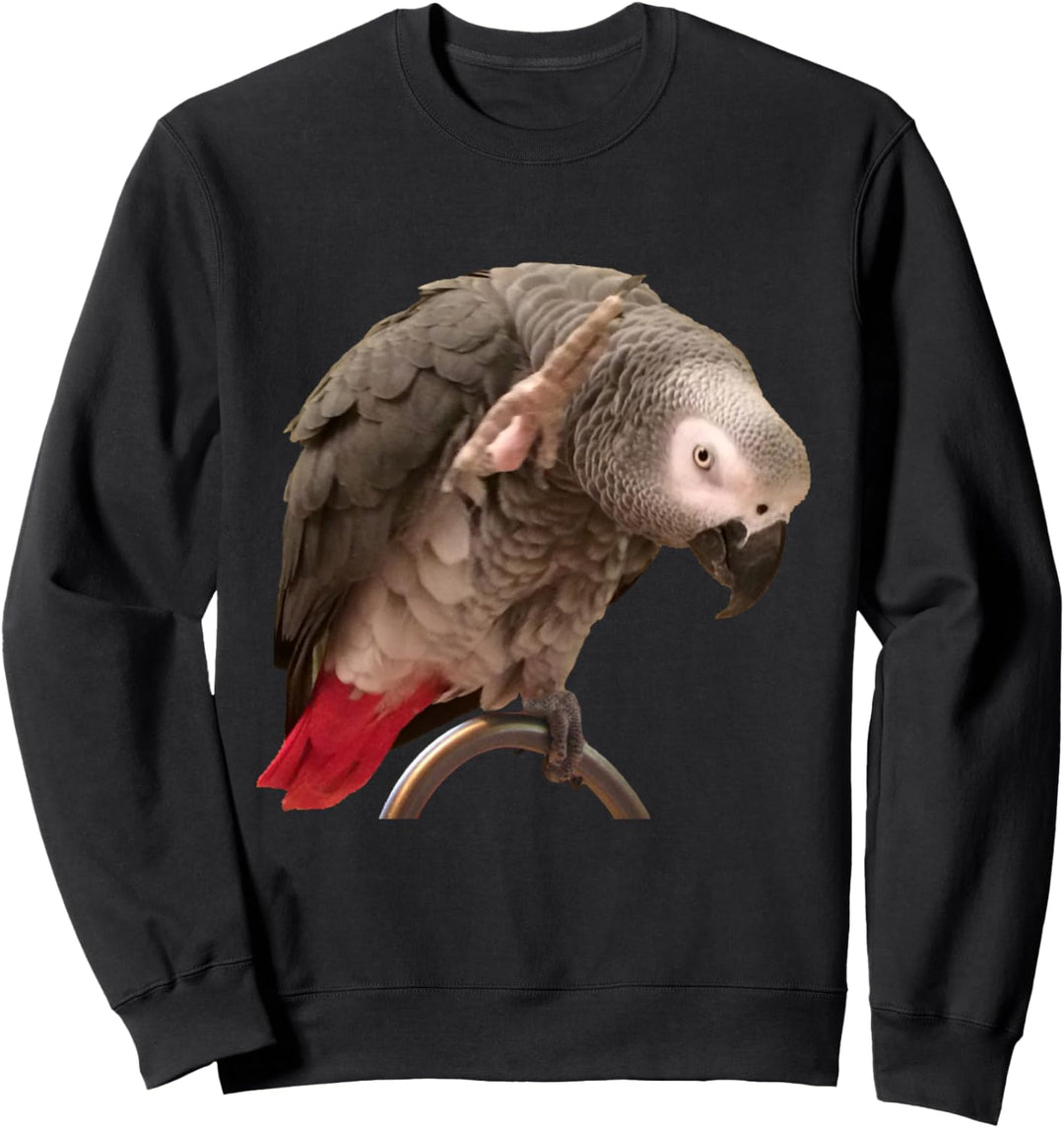 Lustiger afrikanischer Graupapagei winkt Sweatshirt