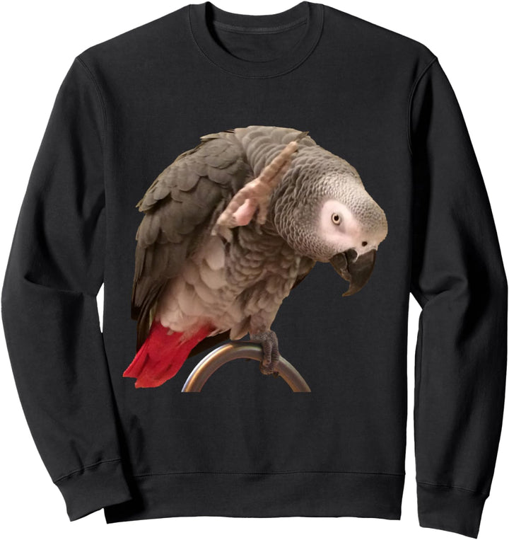 Lustiger afrikanischer Graupapagei winkt Sweatshirt