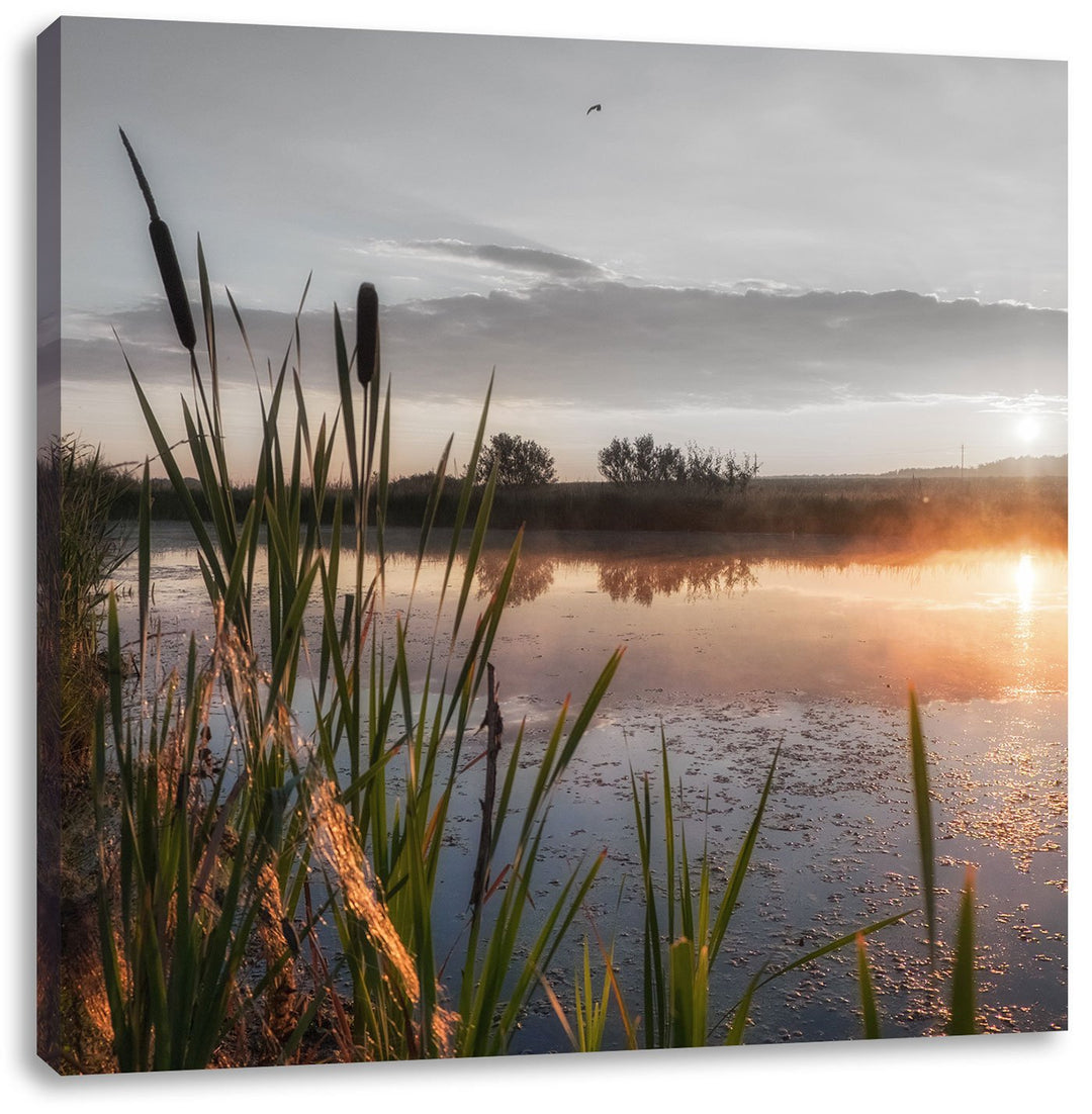 Pixxprint Sonniger Morgen am See als Leinwandbild Quadratisch/Grösse: 70x70 / Wandbild/Kunstdruck/fe