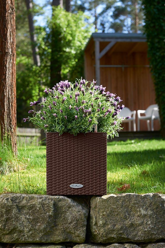Lechuza "Cube Cottage 40" Pflanzgefäss mit ERD-Bewässerungs-System, Mokka, 40 x 40 x 40 cm & Cube Co