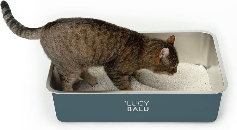 LucyBalu® Edelstahl Katzenklo geruchsfrei | grosse Katzentoilette aus Edelstahl | offenes Katzenklo