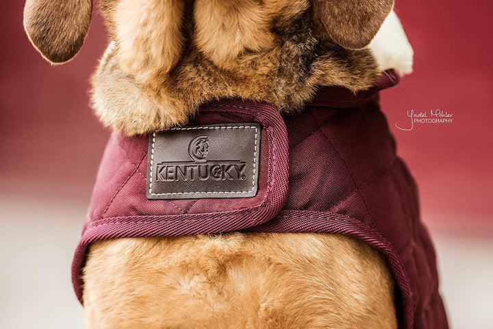 Kentucky Hundemantel Bordeaux XL, bordeaux XL