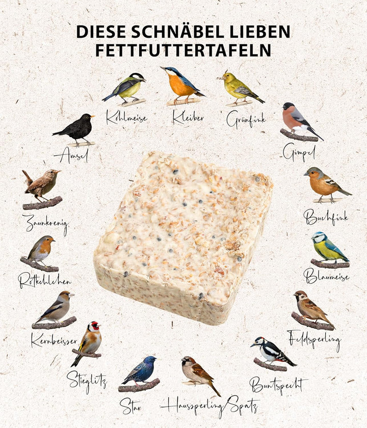 Dehner Natura Wildvogelfutter-Tafeln mit Beeren, 12 x 300 g (3.6 kg) mit Beeren 300 g (12er Pack), m