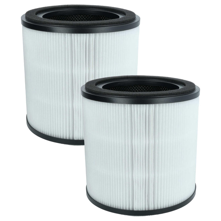 vhbw 2X H13 Filter Ersatz für AEG AFFBRZ2, AFFCAR2 für Luftreiniger - Ersatz-Filter
