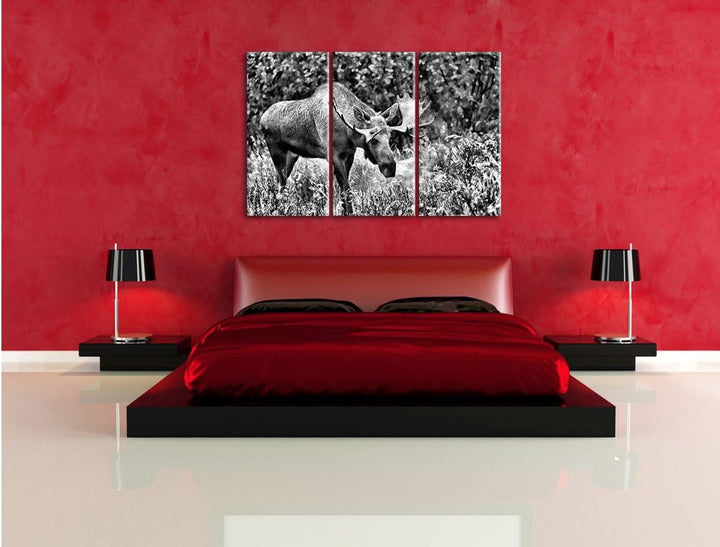 Pixxprint Monocrome, Grosser Elch 3-Teiler Leinwandbild 120x80 Bild auf Leinwand