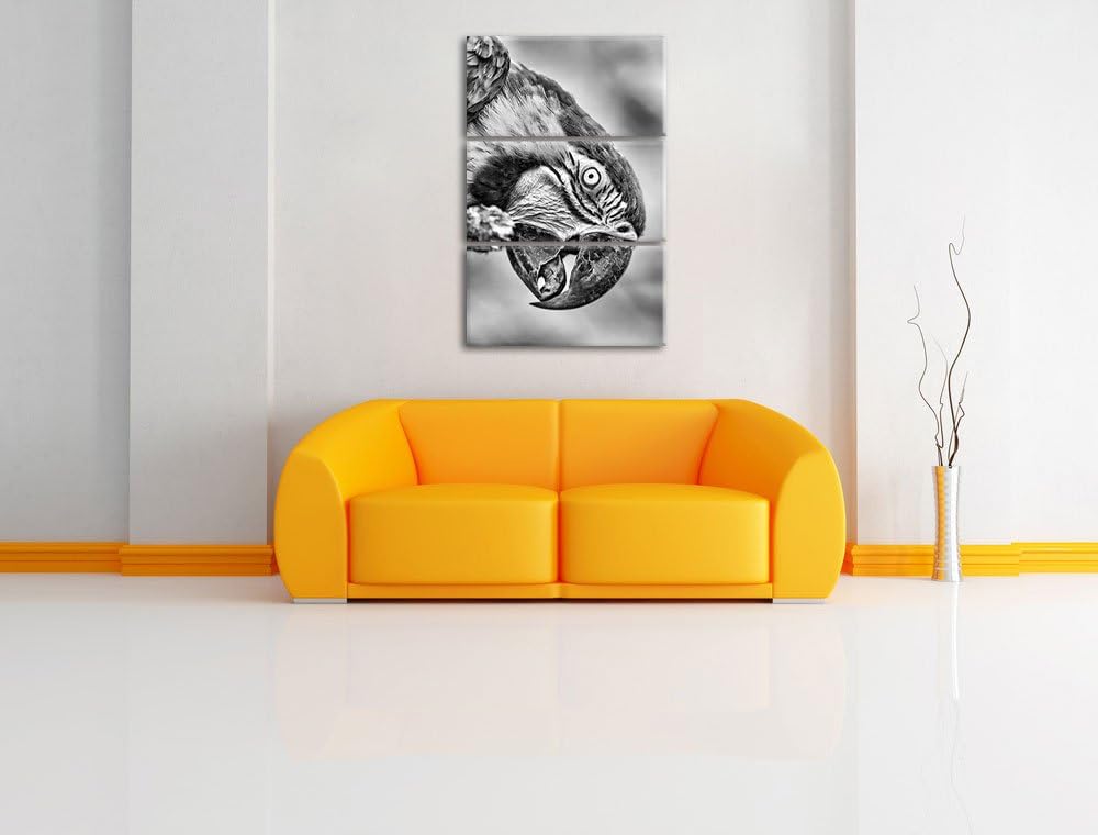 Pixxprint schöner Gelbbrustara als Leinwandbild/Grösse: 3 Teilig (120x80) cm/Wandbild/Kunstdruck/fer