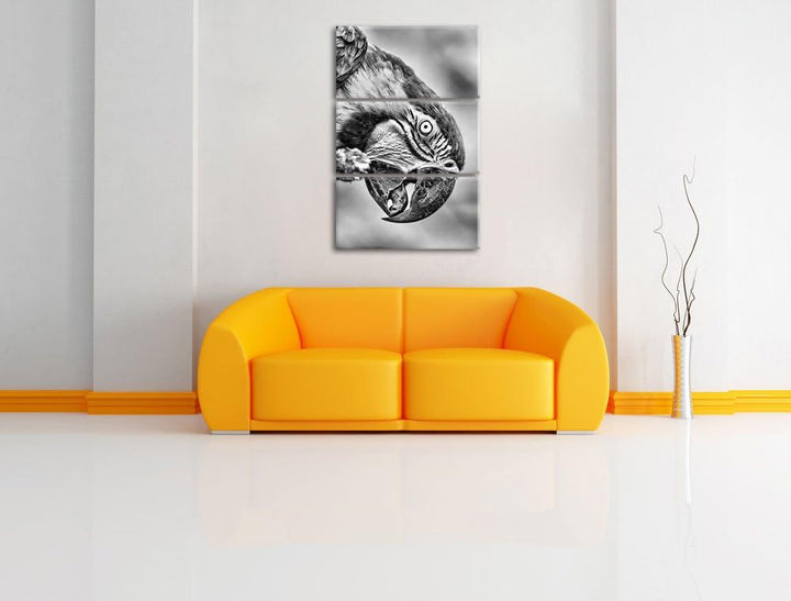 Pixxprint schöner Gelbbrustara als Leinwandbild/Grösse: 3 Teilig (120x80) cm/Wandbild/Kunstdruck/fer