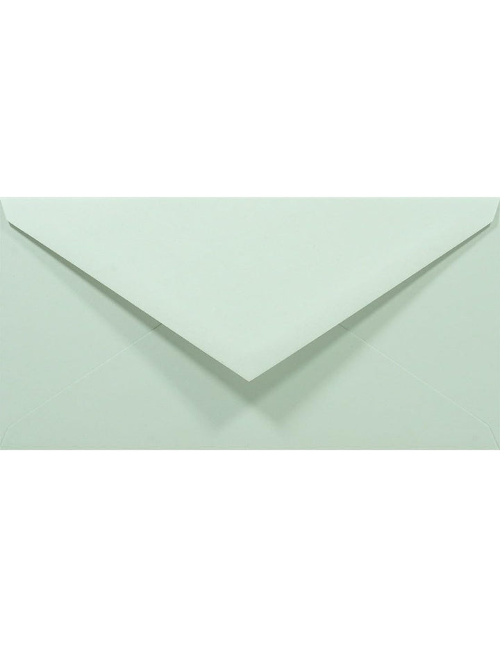 Netuno 100 Briefumschläge Pastell-Grün DIN lang 110x220 mm 80g Rainbow Briefkuverts farbig lang grün