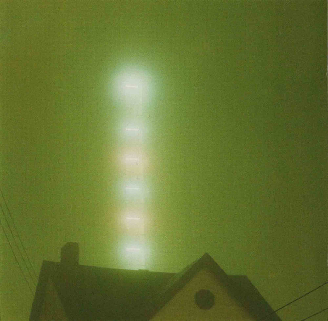 What Burns Never Returns, Vinyl