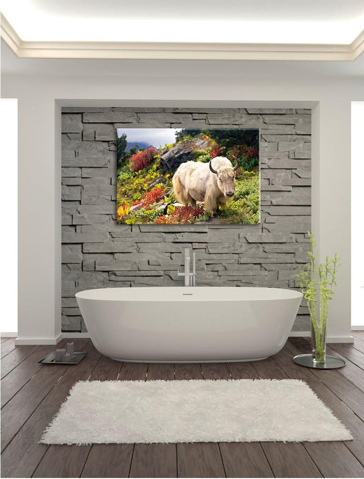 Schönes Yak Himalaya, Format: 100x70 auf Leinwand, XXL riesige Bilder fertig gerahmt mit Keilrahmen,