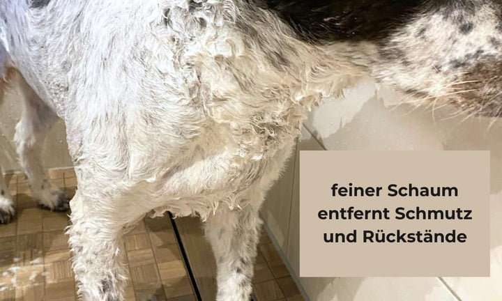 Fellwohl Premium Hundeshampoo für gesunde Hundehaut und glänzendes Fell. Naturreine Inhaltsstoffe in